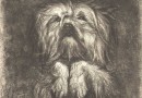 Lepic: Engraving of a Little Terrier Begging