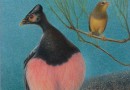 Walter Linsenmaier – Original Drawing of Birds – Beautiful Fine Details!