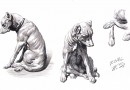 Studies of a Dog – Rainer Zill, Leipzig