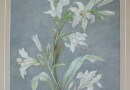 Boizza – White Lilies, Watercolor (Sold)
