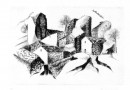 Eau Fort Engraving by Swiss Artist Marie Louise Carrard – Houses