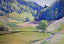 Summer Landscape Near Bern