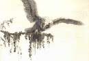 Owl Taking Flight