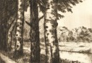 Friedrich Johannes Grunder – Birch Trees Along a Forest Path