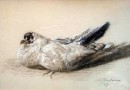 Josef Klemens Kaufmann –  Drawing of a Pidgeon (Sold)