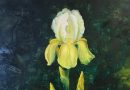 Hans Zaugg – Yellow and White Bearded Iris