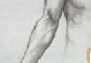 William Stauffer – Study of Arm and Shoulder