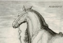 Stadanus – Albanus – Engraving from Later Edition of Equile