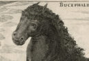 George Simon Winter – 17th Century Engraving of Bucephalus – Horse of Alexander the Great