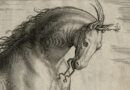 Stadanus – Equus Regius, The Royal Horse – Orig. Engraving from Equile