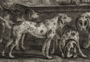Ridinger – Hound Dogs – Francosiche Par Force Hunde