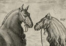 Stadanus Horses – Romanus / Equus Matronalis – Orig. Engraving from Equile