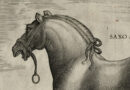Stadanus – Saxo  – Renaissance Period Engraving of Saxon Stallion from Equile