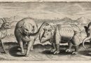 Old Master Engravings of Animals by Marcus Gheeraerts the Elder