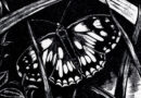 White Marbled Butterfly – 1968  Woodblock by Fritz Urban Welti