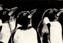 Penguins – 1958 Woodblock Print by Fritz Urban Welti