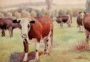 Pasture in Normandy (Paturage en Normandie), 1933 Fritz Glarner