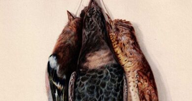 Jakob Christian Bergner (1812–1877) – Study of Three Birds, 1862
